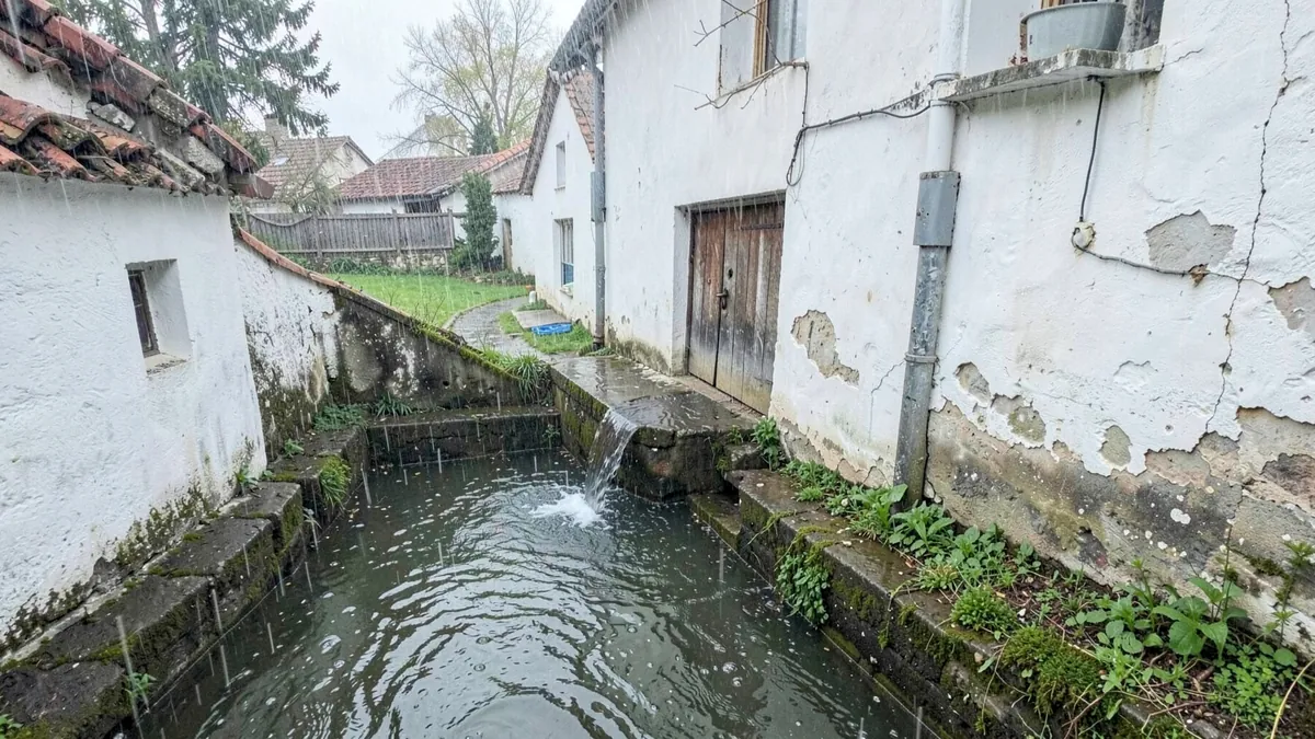 Apartament afectat de apă provenită de la vecin, cu tavan și podea ude